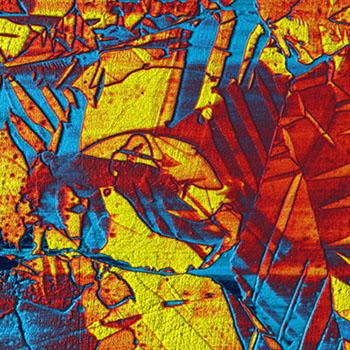 アサイラム・リサーチの走査型プローブ顕微鏡(scanning probe microscope)を用いて取得した圧電応答顕微鏡(piezoresponse force microscopy)のイメージ