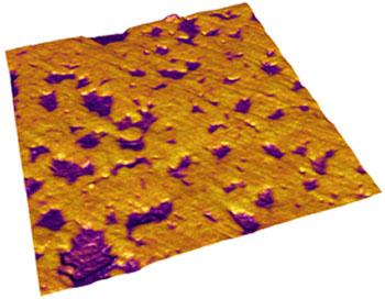リチウム電池電極の原子間力顕微鏡 (AFM, atomic force microscope) 像