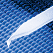 Olympus AFM probes visible apex