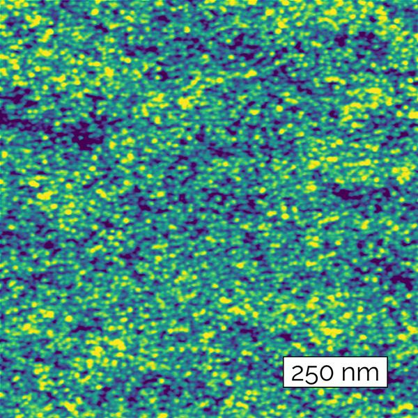 Ergo AFM software PMR disk drive media