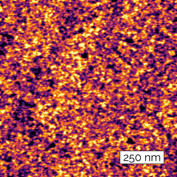 Ergo AFM software silicon wafer grains