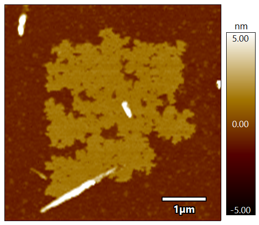 F14H20（形状像）