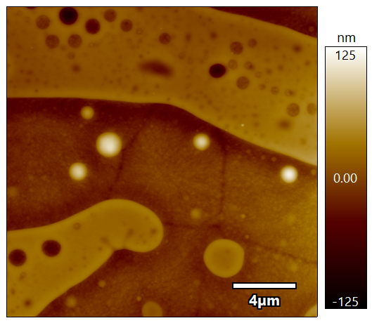 PS/LDPE（形状像）
