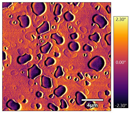 PS/PVAC（位相像）