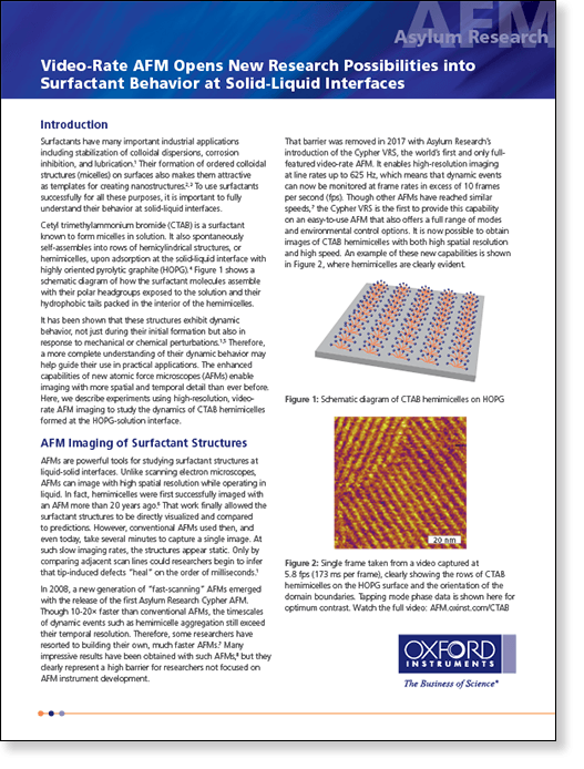 Get the application note about video-rate AFM on surfactant micells