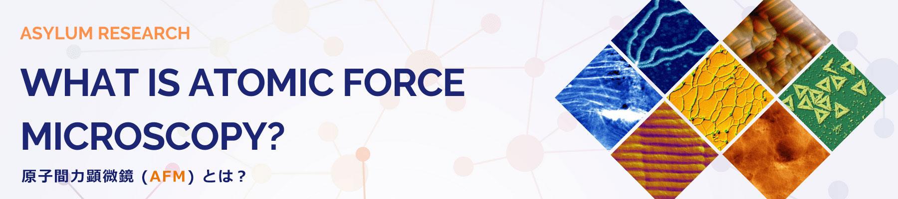 原子間力顕微鏡 (AFM) とは？