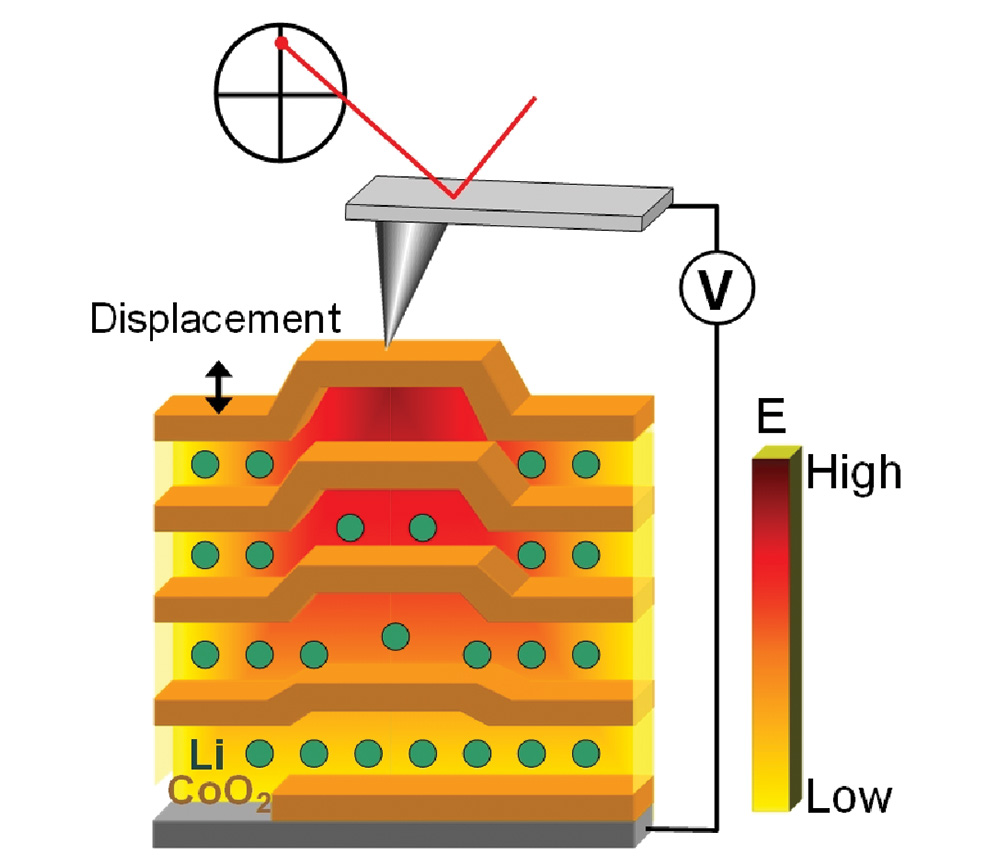 電気化学ストレイン顕微鏡の模式図