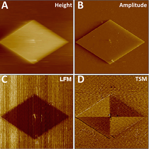 Collage of 4 different AFM images. Labelled, in order,: (a) - height, (b) amplitude, (c) - LFM, and (d) - TSM.